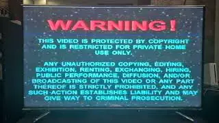 C-Interactive Digital Entertainment Warning and Logo 2001