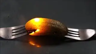 Glowing Pickle
