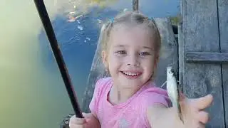 Зборник видео: поездка к бабушке и дедушке в Вилково