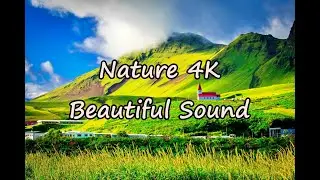 Nature Relaxing Music for ambient and meditation 4K - 1 HOUR Stress relief music.