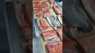 Кета  семужного посола,  красная рыба, посол. Телега👉 https://t.me/+BhnQAnNFsvI1N2Vi#краснаярыба