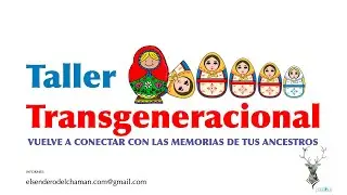 Terapia Transgeneracional / taller online