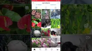 Как изменить пост в Инстаграм и как вести коммерческий аккаунт