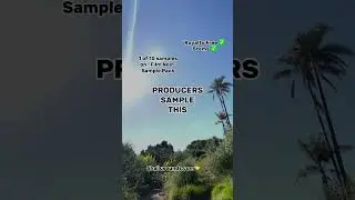 Sample This 