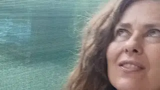 Hi