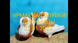 ГОЛУБИНЫЙ РЫНОК В БРОННИЦАХ