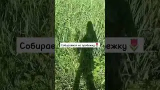 Утренняя Рутина как у That Gitl💕 | 