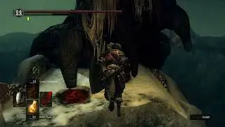 Dark Souls: Painted World Bonewheel Room Skip