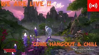 Neverwinter Dungeons and Dailies with Nipsy (xbox)