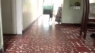 THE NEGRAAA