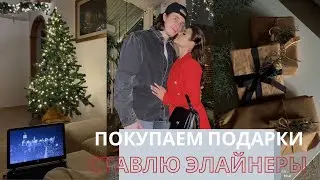 ПОКУПАЕМ ПОДАРКИ | СТАВЛЮ ЭЛАЙНЕРЫ | БАЛЕТ | ОСТАВЛЯЕМ АЙСА ОДНОГО | ПОСЛЕДНИЙ ВЛОГ В ЭТОМ ГОДУ |