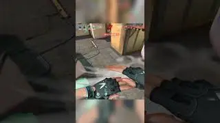montruh moments 