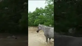 İşte,anne yüreği, böyle bir şey…