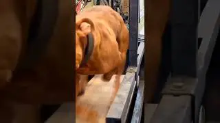 Дал...дал...ушел...🚀🚀🚀 