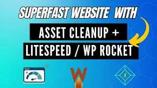 Using Asset Cleanup with Litespeed / WP Rocket