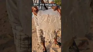 Таиланд. Огромные медузы атакуют... #thailand #pattaya #паттайя #путешествия