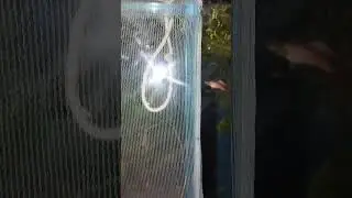 МАЛЬКОЕД ЗАЛЕЗ 🤬😱👀👈🤣