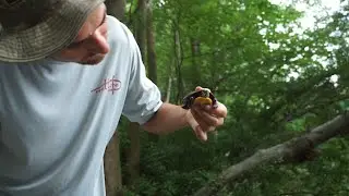Trying a New Fishing Spot
