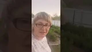 я и мой маленький питомник саженцев голубики