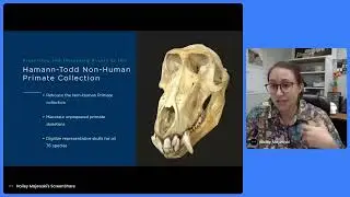 Aligning a Museum’s Digital Strategy with its Physical Transformation