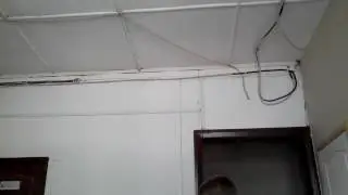 Вайн #2