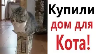 Лютые приколы. КУПИЛ ДОМ ДЛЯ КОТА!!!  Самое смешное видео! РЖАКА ДО слёз! - Domi Show!