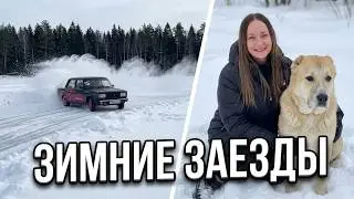 201 ЗИМНИЕ ЗАЕЗДЫ 🏁 ГУЛЯЕМ С ВАРДОЙ 🦮