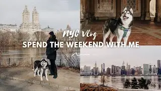 NYC Vlog | Long Island City | lunch, food shopping, dog park, central park, huskies almost kidnapped