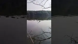 Spot Mancing di Bendungan Bendo Sawoo Ponorogo Jawa Timur