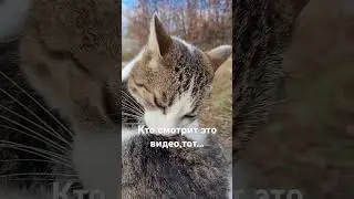 11 октября 2024 г.
