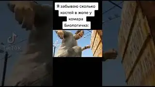 мемы