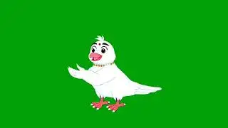 pigeon birds talking with kids greenscreen || free green screen || no copyright greenscreen bd