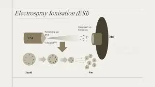 Quickly understand various types of LCMS
