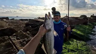 You Wouldn't Believe What This Big Trout Ate