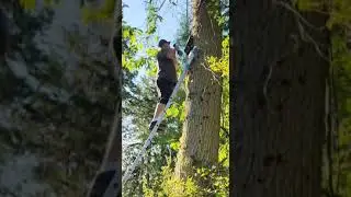 Installing a BAT HOUSE in a TREE!