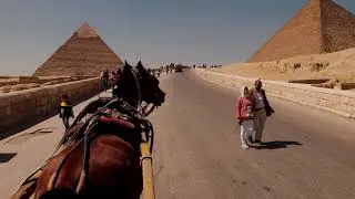 Egypt horse free download stock video
