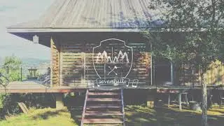 Mammals - Carried