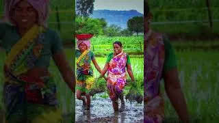 Culture of India 🇮🇳🫶♥️ #culture #india #shorts #ytshorts