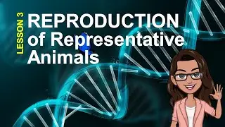 Earth and Life Science Quarter 2: ANIMAL REPRODUCTION