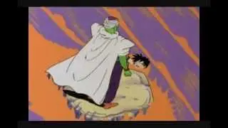 Piccolo the Lifeguard