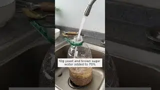 Irrigation water is used for all flower plants  #gardening #agriculture #farming