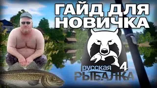 Русская рыбалка 4 - обзорный гайд для новичка в 2024\2025 | Лечит СДВГ?