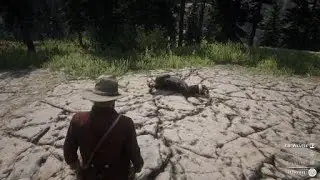 Smartest O'Driscoll