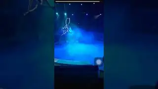 дуэт в кольце манеж
