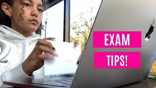 VLOG: Studying for 2L finals, exam tips, & Ana Luisa Jewelry