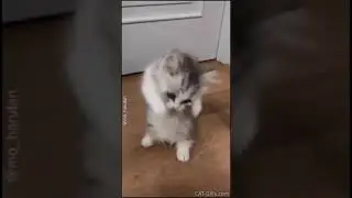 Милахааааааааааааа😍😍😘😘😍😍😘😍😍😘