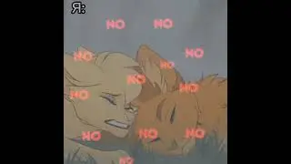 No No No... #warriors #warriorcats #cat #cats #котывоители #кв #кот #коты