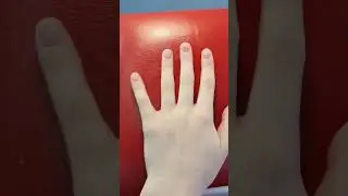 25 мая 2024 г.