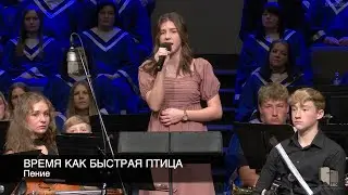 Время как быстрая птица