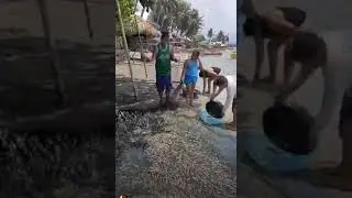 P100,000 worth of fishes caught in one day #Shorts